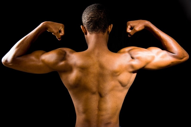 Ternyata 5 Gerakan Sederhana Ini Bisa Menguatkan Otot Lengan Anda Tanpa Pergi ke Gym!